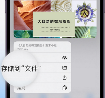 南昌apple维修中心分享iPhone文件应用中存储和找到下载文件