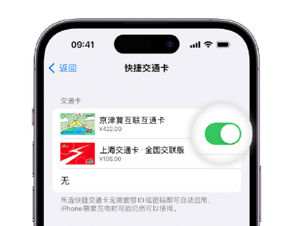 南昌apple维修点分享iPhone上更换Apple Pay快捷交通卡手绘卡面 