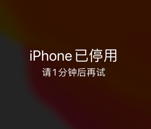 南昌苹果手机维修分享:iPhone 显示“不可用”或“已停用”怎么办？还能保留数据吗？ 