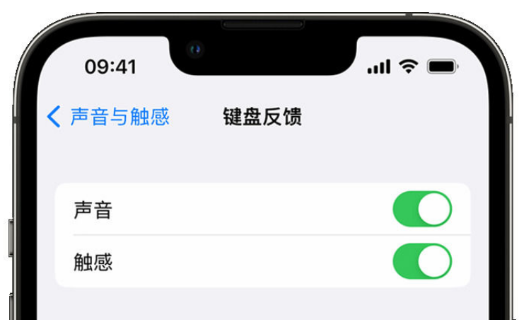 南昌苹果手机维修分享iPhone 14触感键盘使用方法 