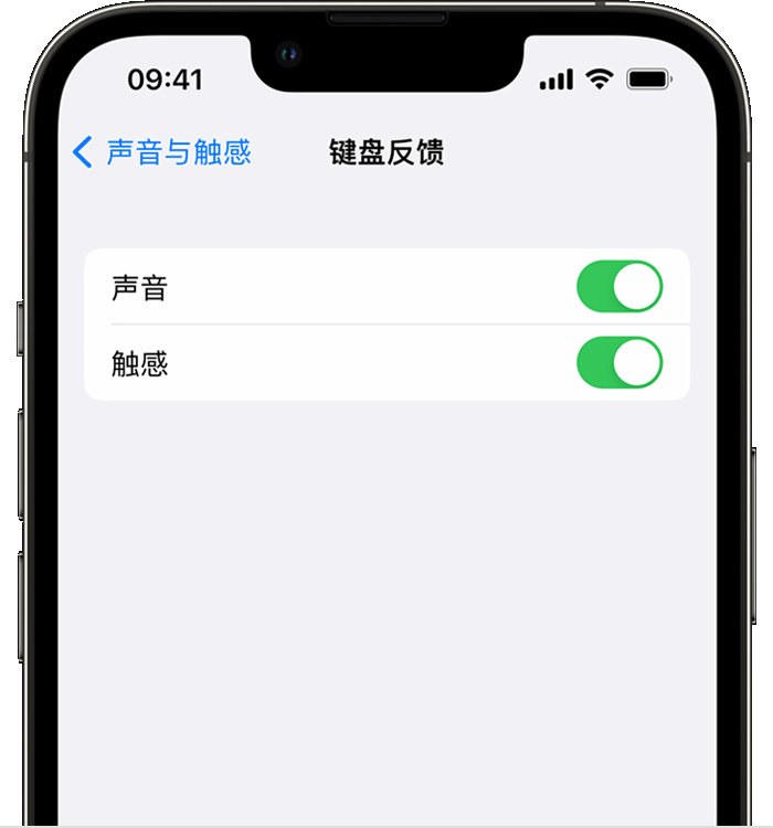 南昌苹果14维修店分享如何在 iPhone 14 机型中使用触感键盘 