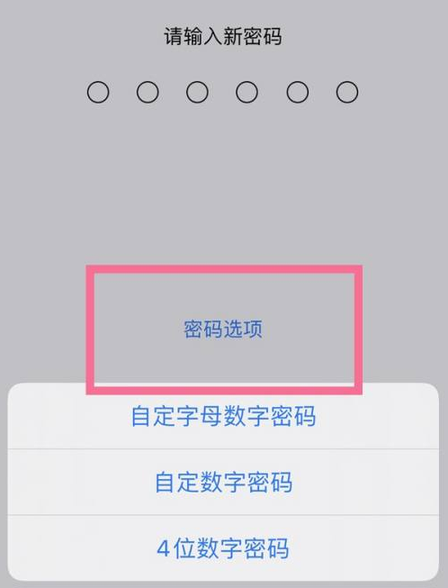 南昌苹果14维修分享iPhone 14plus设置密码的方法 