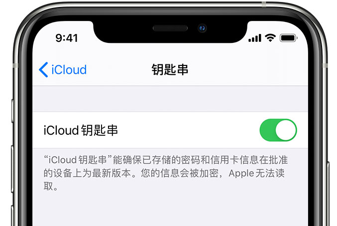 南昌苹果手机维修分享在 iPhone 上开启 iCloud 钥匙串之后会储存哪些信息 