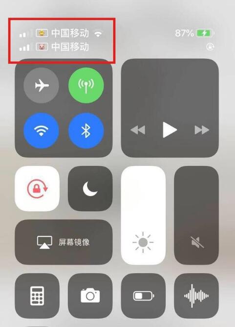 南昌苹果手机维修分享为 iPhone 12 双卡设置标签 