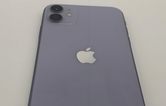 南昌苹果11系统维修分享iPhone11手机系统崩溃无法开机如何解决